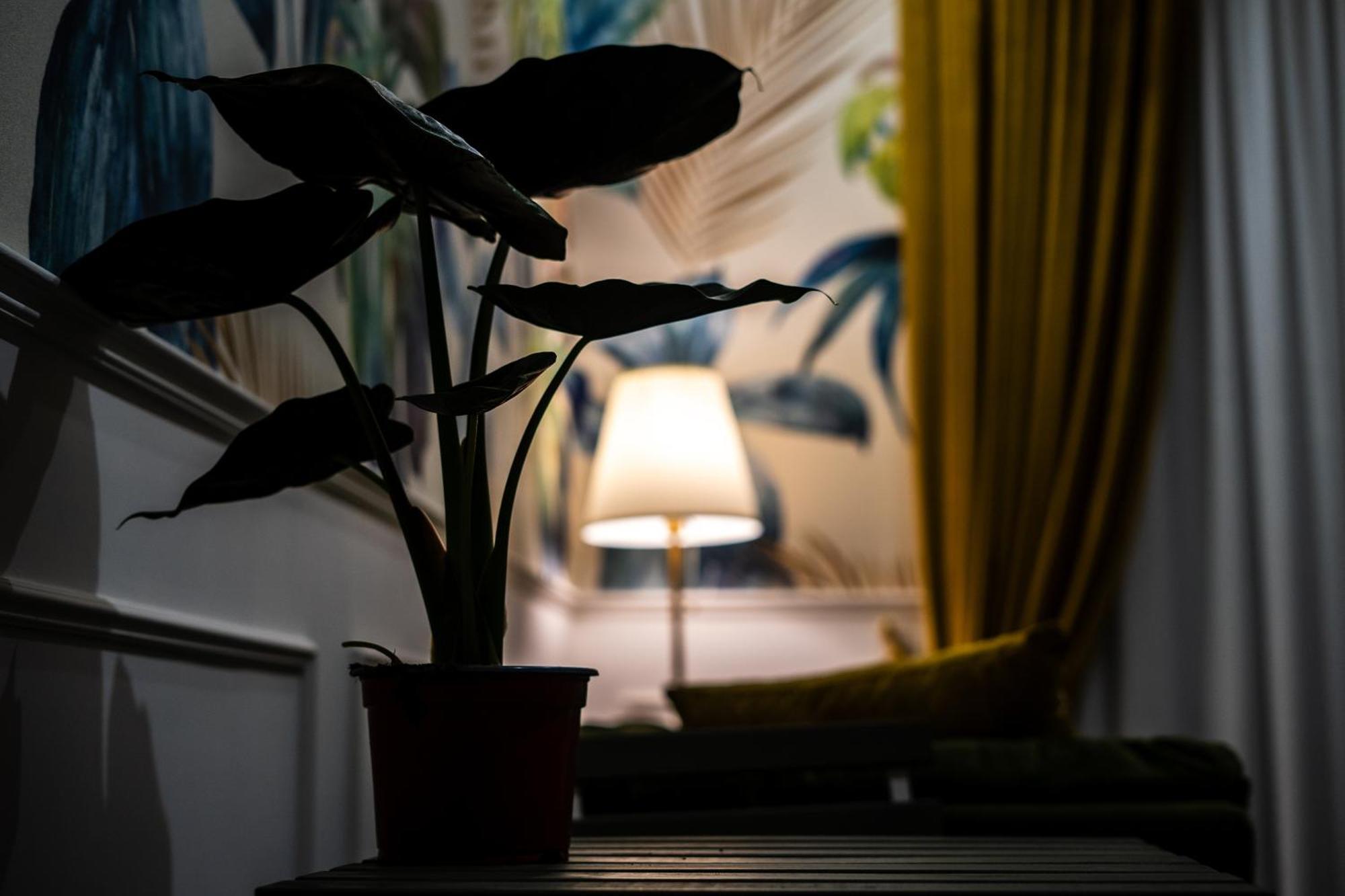 La Grande Bellezza Bed & Breakfast Napoli Eksteriør bilde